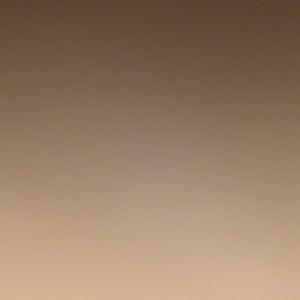 Meet your Posher, Michele